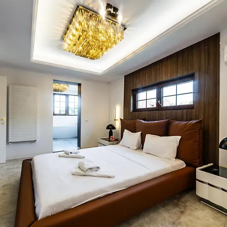 דירה Exclusive 3br Penthouse - Prestigious Area בוקרשט